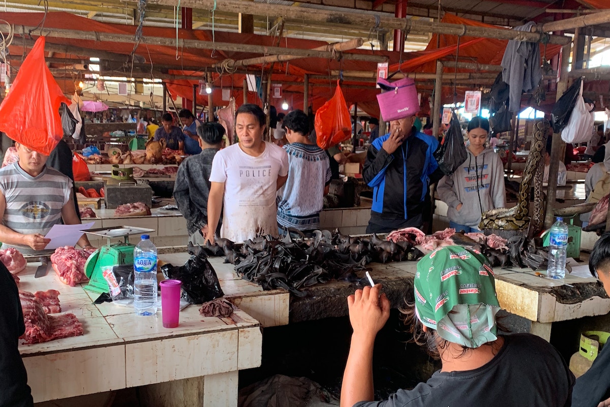 indonesia’s-‘extreme’-wildlife-market,-in-pictures