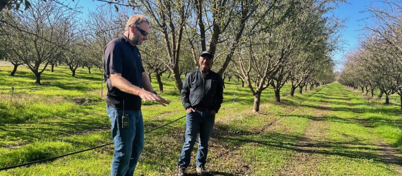 5-years-in,-how-does-general-mills’-regenerative-agriculture-commitment-measure-up?