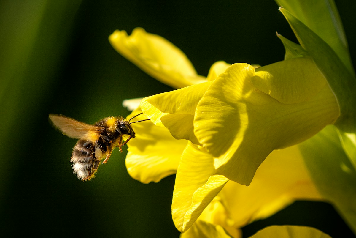over-130-asian-companies-to-start-nature-related-risk-reporting-by-fy2025