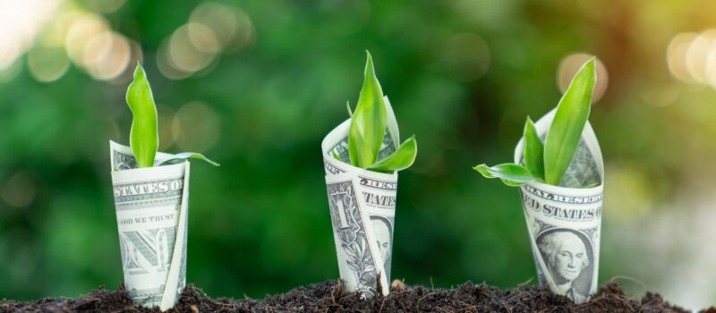 insurers-hope-new-policies-covering-carbon-credits-will-restore-trust-in-a-battered-market