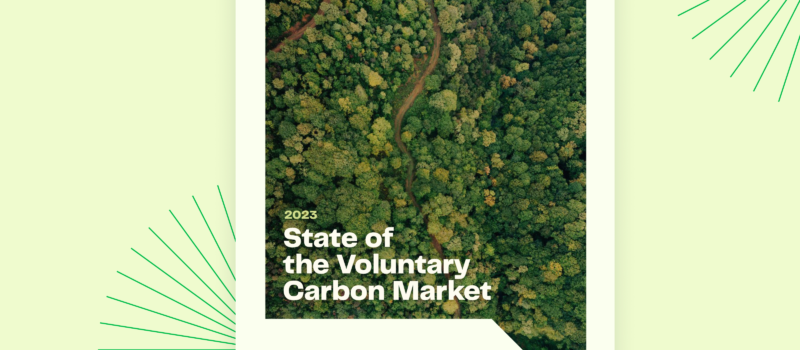 the-state-of-the-voluntary-carbon-market