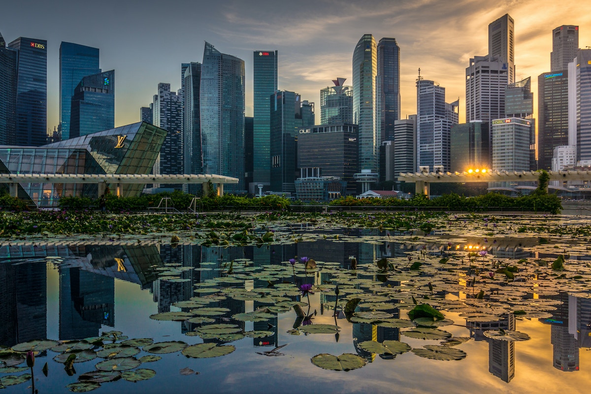 sustainability-reporting-needs-interoperable-framework,-“pragmatic-and-proportionate-balance”-in-disclosure-rules:-google