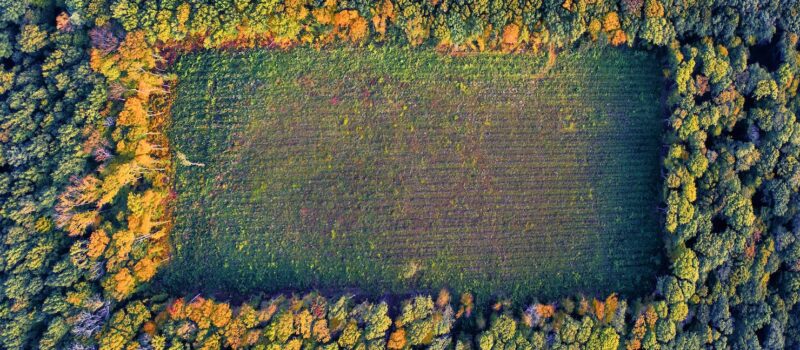 the-newest-biodiversity-reporting-standard:-what-you-should-know