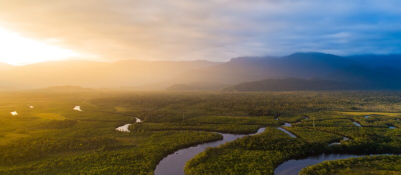 5-common-misunderstandings-about-the-eu’s-deforestation-policy,-clarified