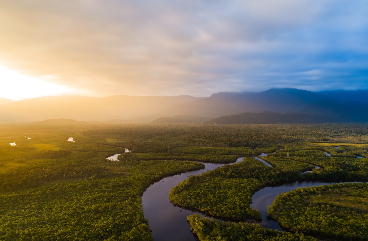 5-common-misunderstandings-about-the-eu’s-deforestation-policy,-clarified