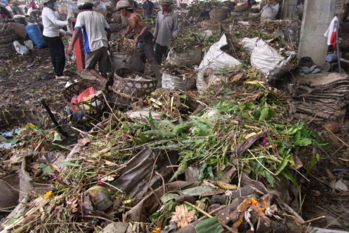 indonesian-organic-waste-recycler-temesi-closes,-co-founder-blames-‘unfair’-fertiliser-subsidies