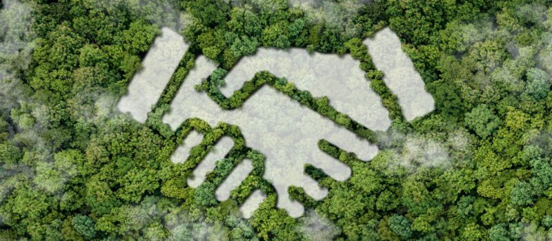 the-multiplier-effect:-5-tips-to-create-effective-partnerships