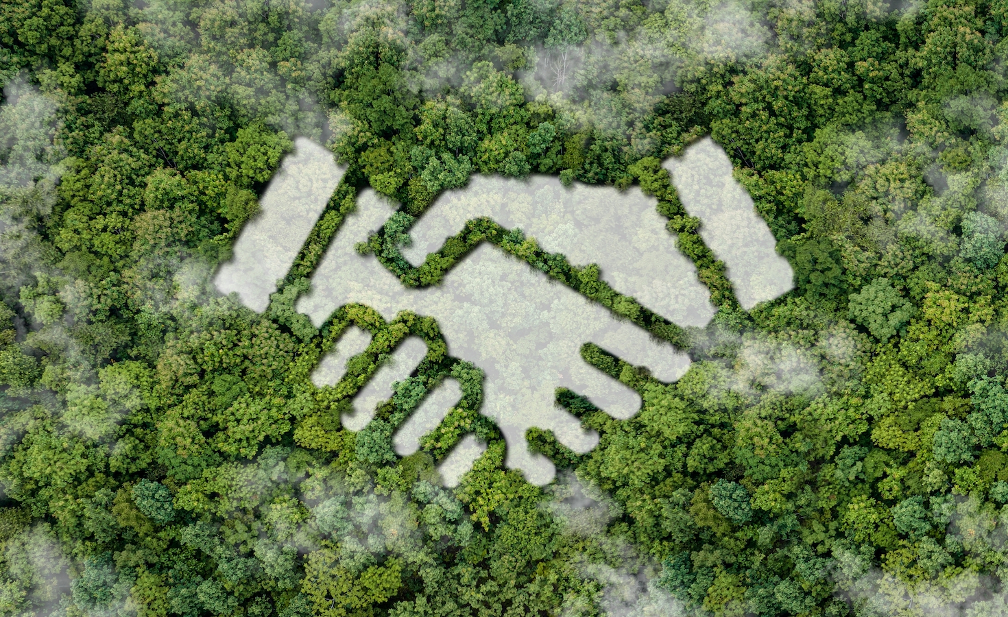 the-multiplier-effect:-5-tips-to-create-effective-partnerships
