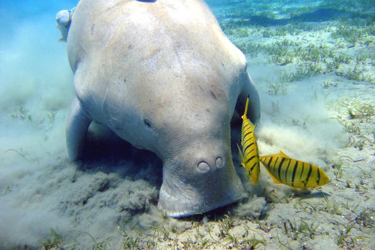 q&a:-what-progress-has-been-made-on-protecting-nature-a-year-on-from-cop15?