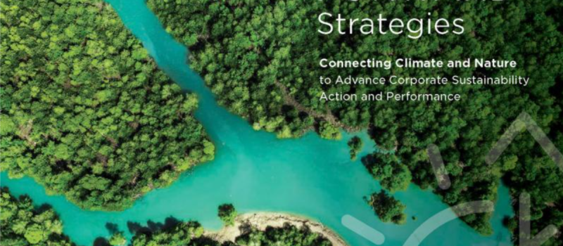 the-climate-and-nature-crises-call-for-planet-forward-strategies