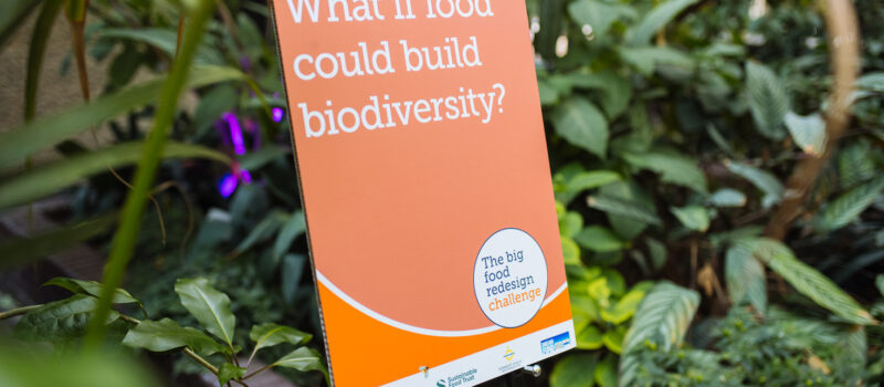 giving-back-to-the-land-—-one-food-and-drink-product-at-a-time