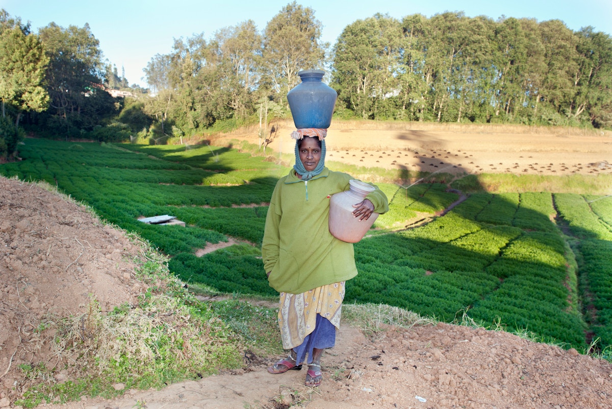 analysis:-as-farmers-protest,-india-must-urgently-deal-with-its-water-crisis