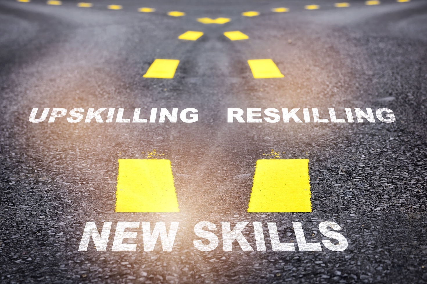 5-steps-to-create-a-sustainability-upskilling-strategy-for-your-company