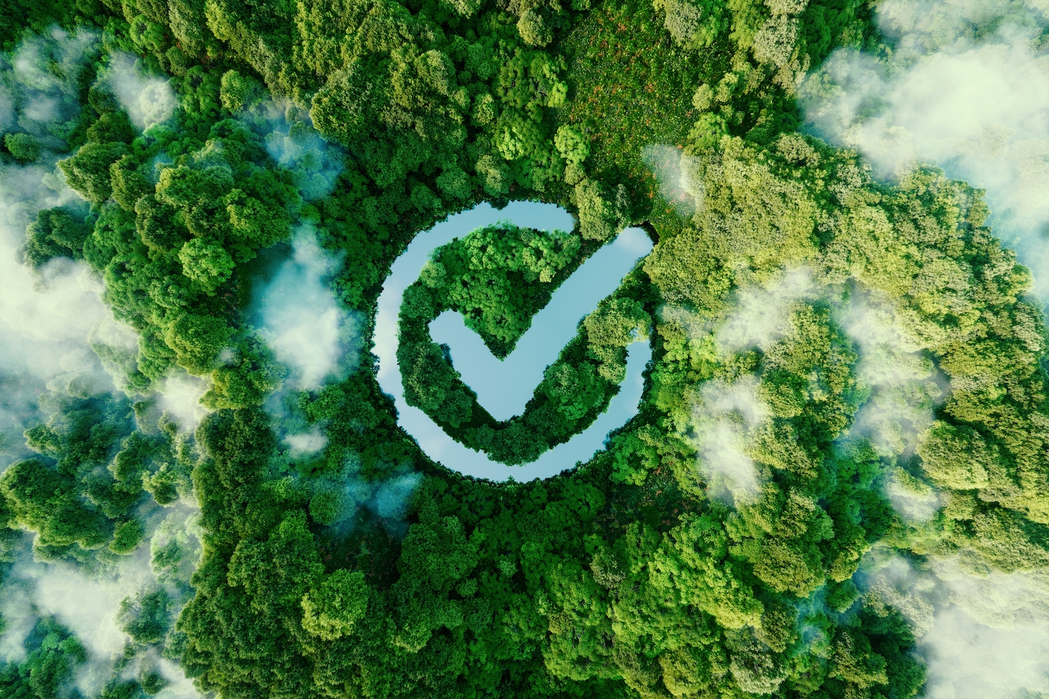 how-to-build-voter-support-for-sustainability-in-a-polarizing-political-year