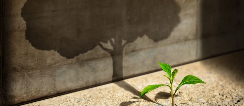 develop-your-sustainability-business-strategy