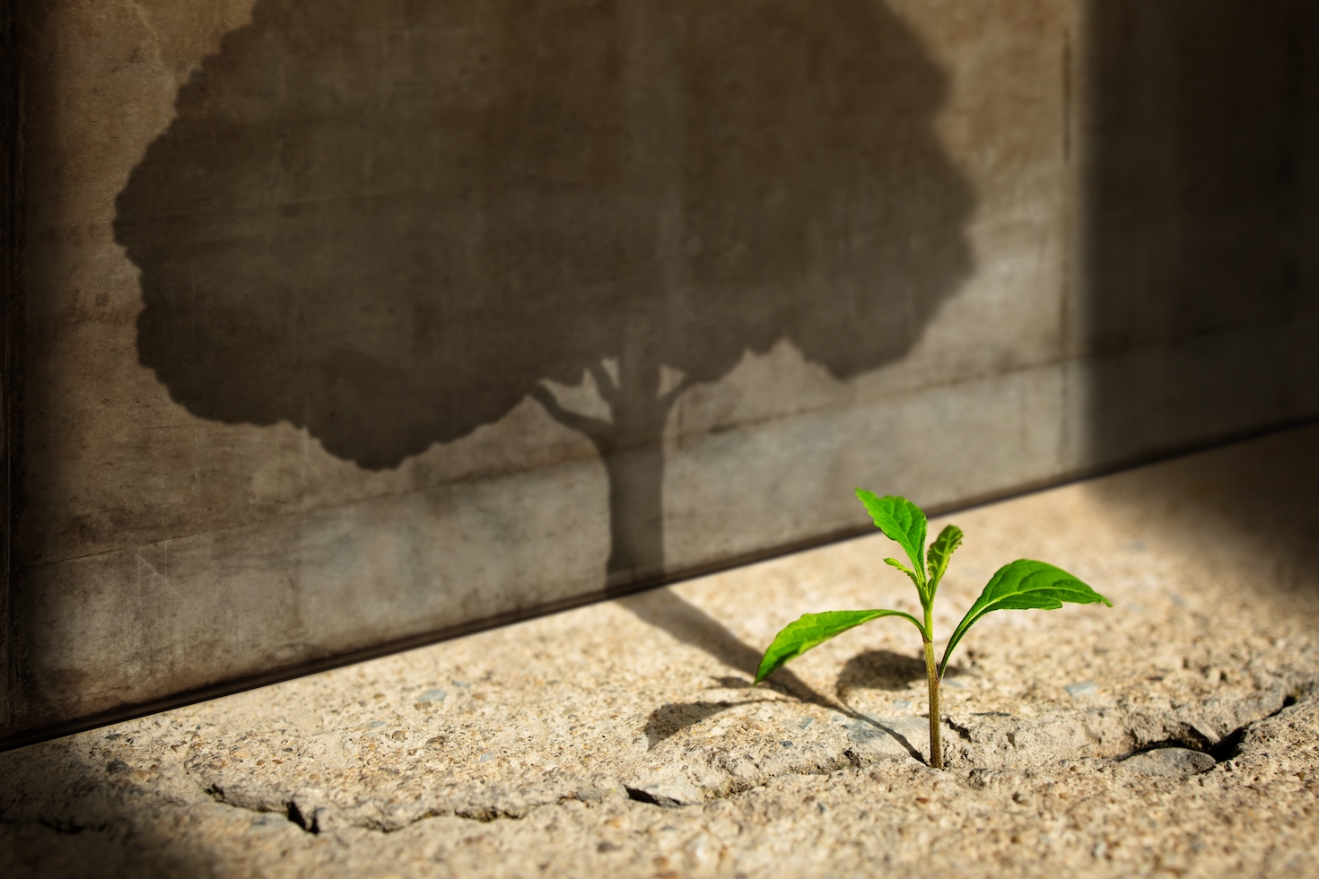 develop-your-sustainability-business-strategy