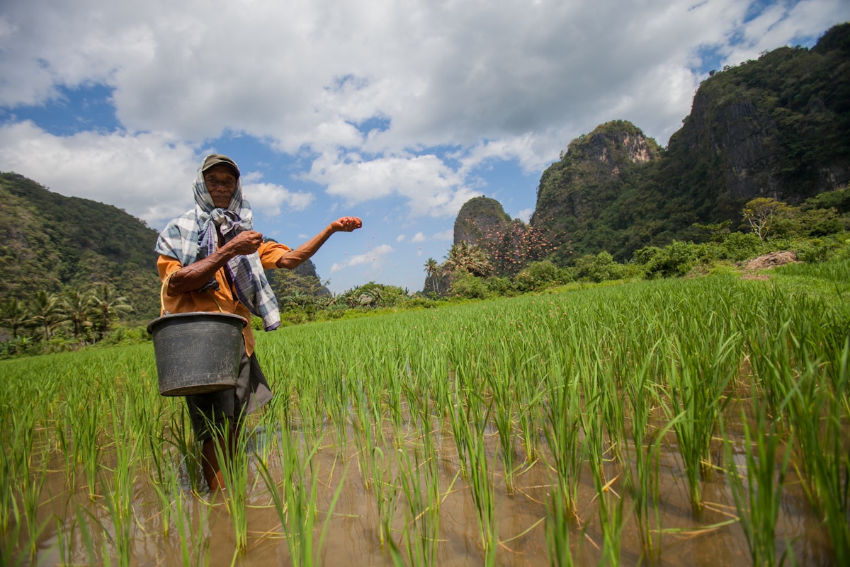 energy-and-agrarian-justice-in-southeast-asia’s-green-transition