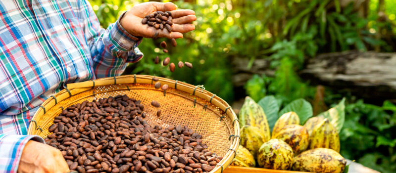 seven-steps-to-achieving-responsible-supply-chains