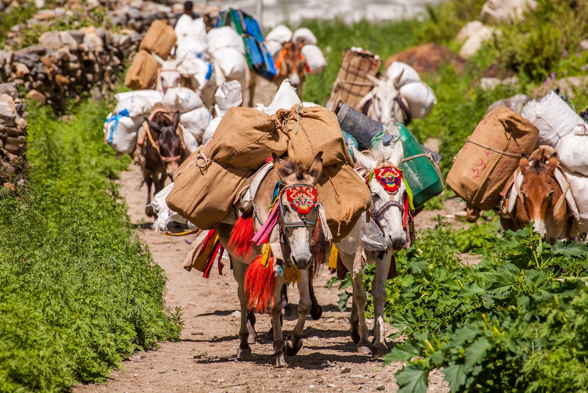 analysis:-himalayan-countries-must-focus-on-what-works-for-adaptation