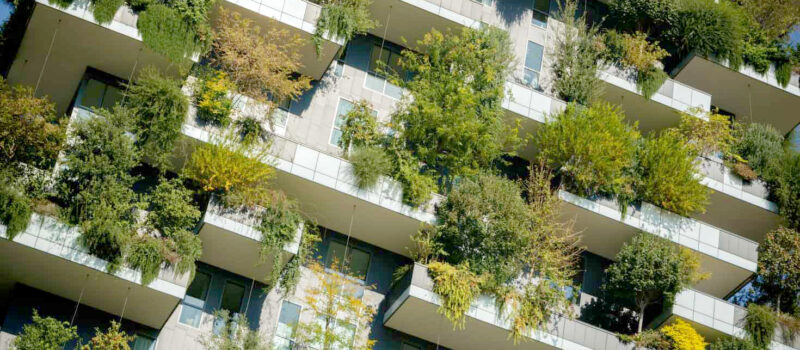 exploring-the-first-international-declaration-on-pathways-to-building-decarbonization