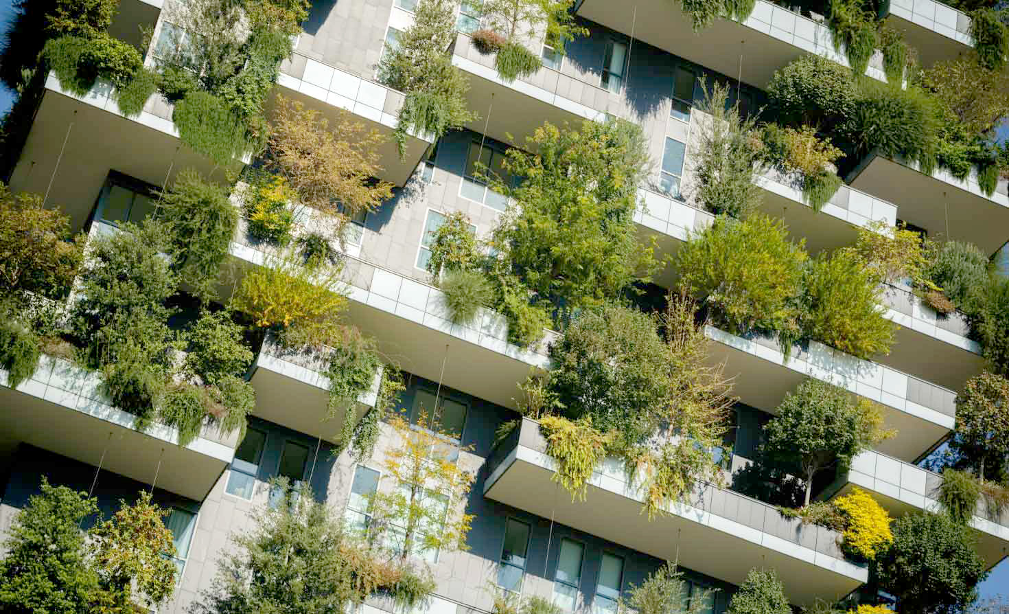 exploring-the-first-international-declaration-on-pathways-to-building-decarbonization