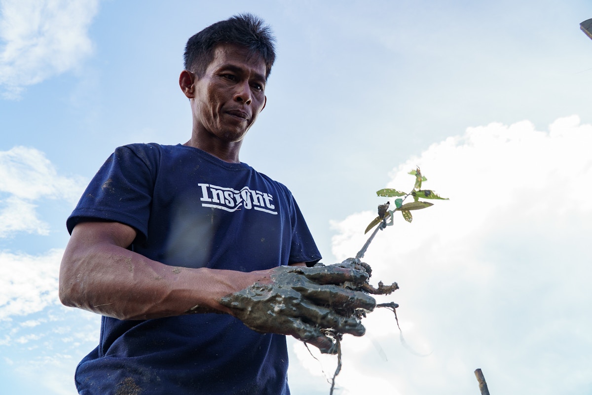 is-tree-planting-all-it’s-cracked-up-to-be?