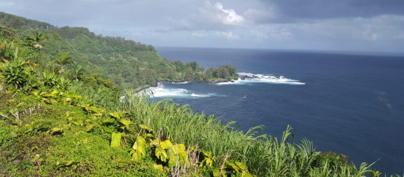 local-priorities-drive-energy-transitions-in-remote,-coastal,-&-island-communities