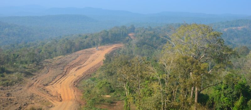 majority-of-asian-investors-still-lack-deforestation-policies:-aigcc