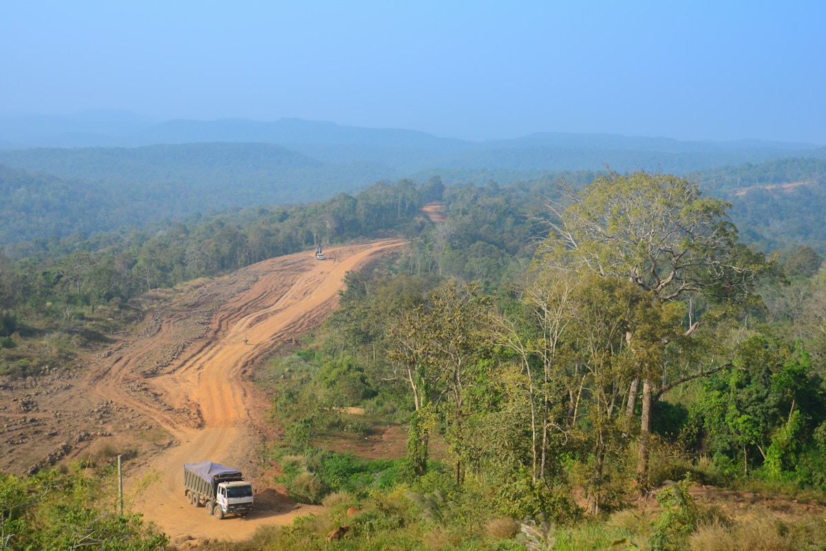 majority-of-asian-investors-still-lack-deforestation-policies:-aigcc