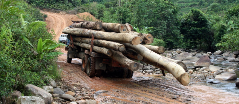 ‘ghost-roads’-are-cracking-open-pristine-rainforests-in-malaysia,-indonesia-and-papua-new-guinea