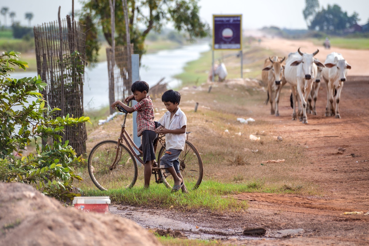 deforestation-in-cambodia-linked-to-stunting-in-children,-anaemia-in-women:-study