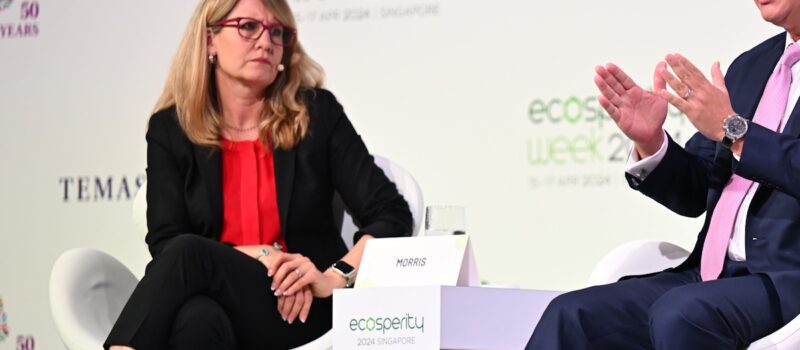 ‘there-shouldn’t-be-an-international-tradeable-unit-of-biodiversity’:-the-nature-conservancy-ceo