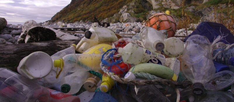 how-can-the-world-use-less-plastic-and-reduce-pollution?