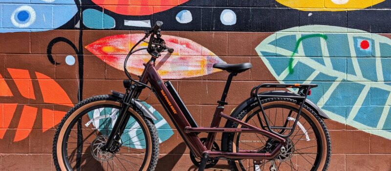 the-rad-power-bikes-radster-trail-—-cleantechnica-tested