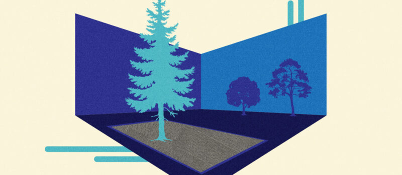 no-more-funding-forests-in-cambodia:-interface-is-ending-offsets-to-go-carbon-negative