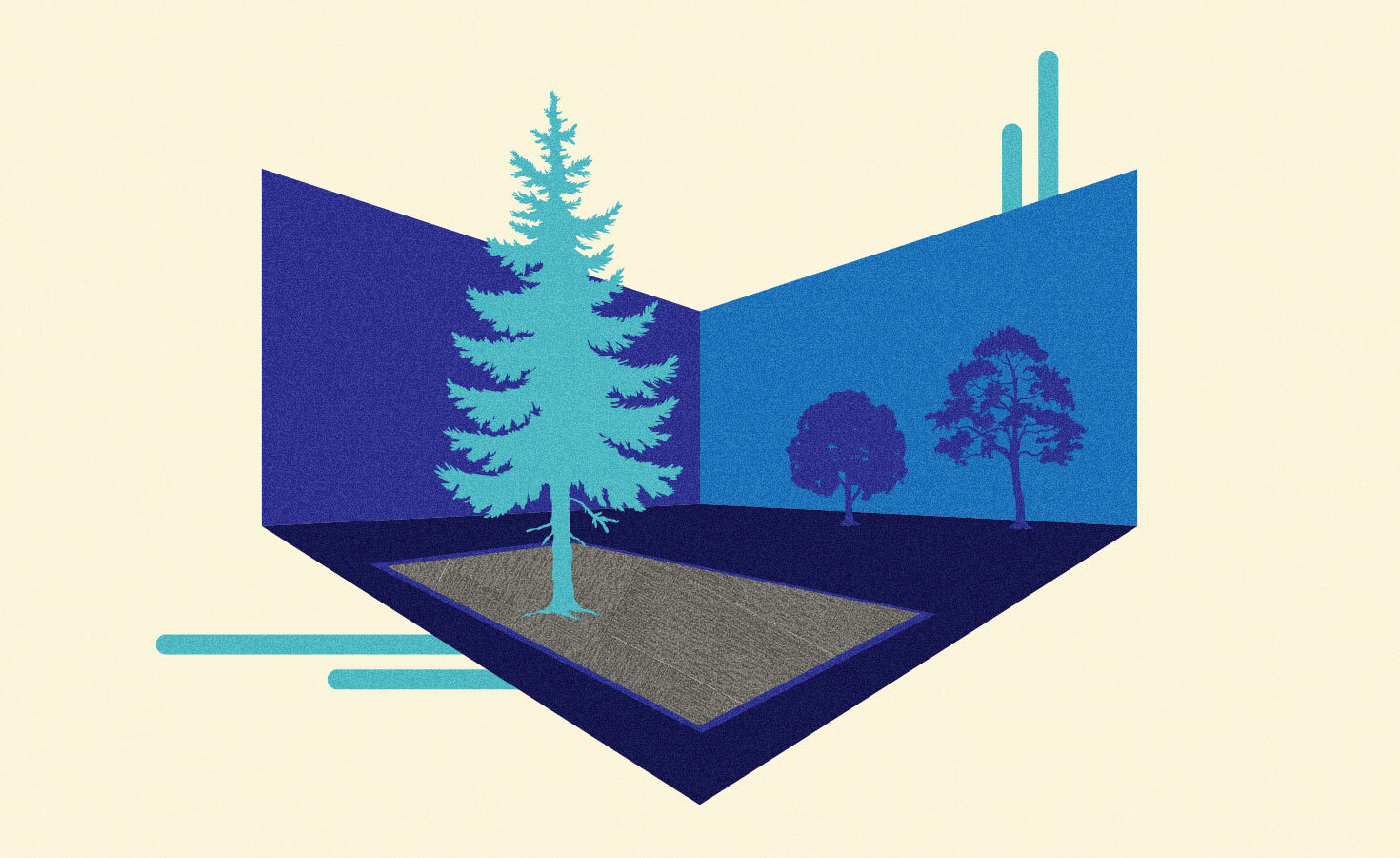 no-more-funding-forests-in-cambodia:-interface-is-ending-offsets-to-go-carbon-negative