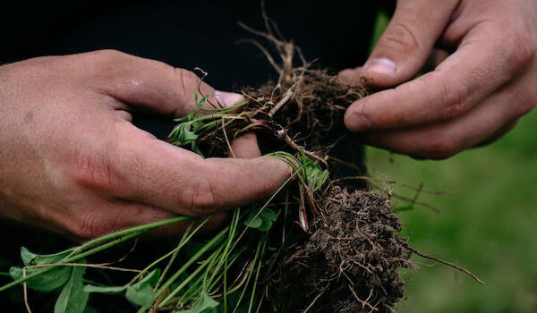 revolutionizing-agriculture-for-a-sustainable-future