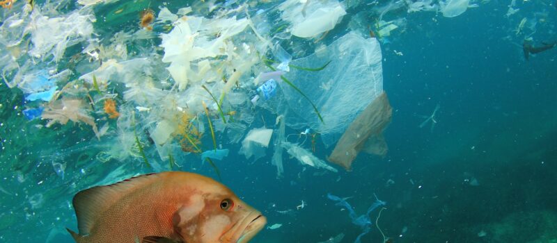 the-week-in-climate-policy:-4-updates-you-need-to-know