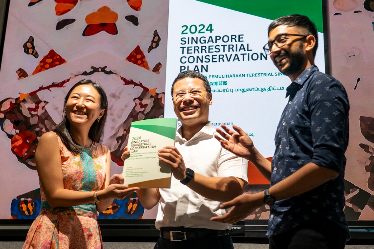 tighten-legal-ambiguity,-protect-more-forests:-singapore-conservationists-issue-wishlist-to-government