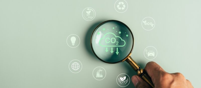 why-climate-disclosure-policy-is-critical-to-corporate-sustainability