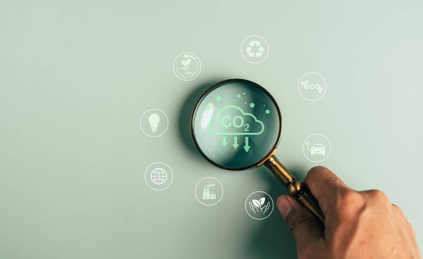 why-climate-disclosure-policy-is-critical-to-corporate-sustainability