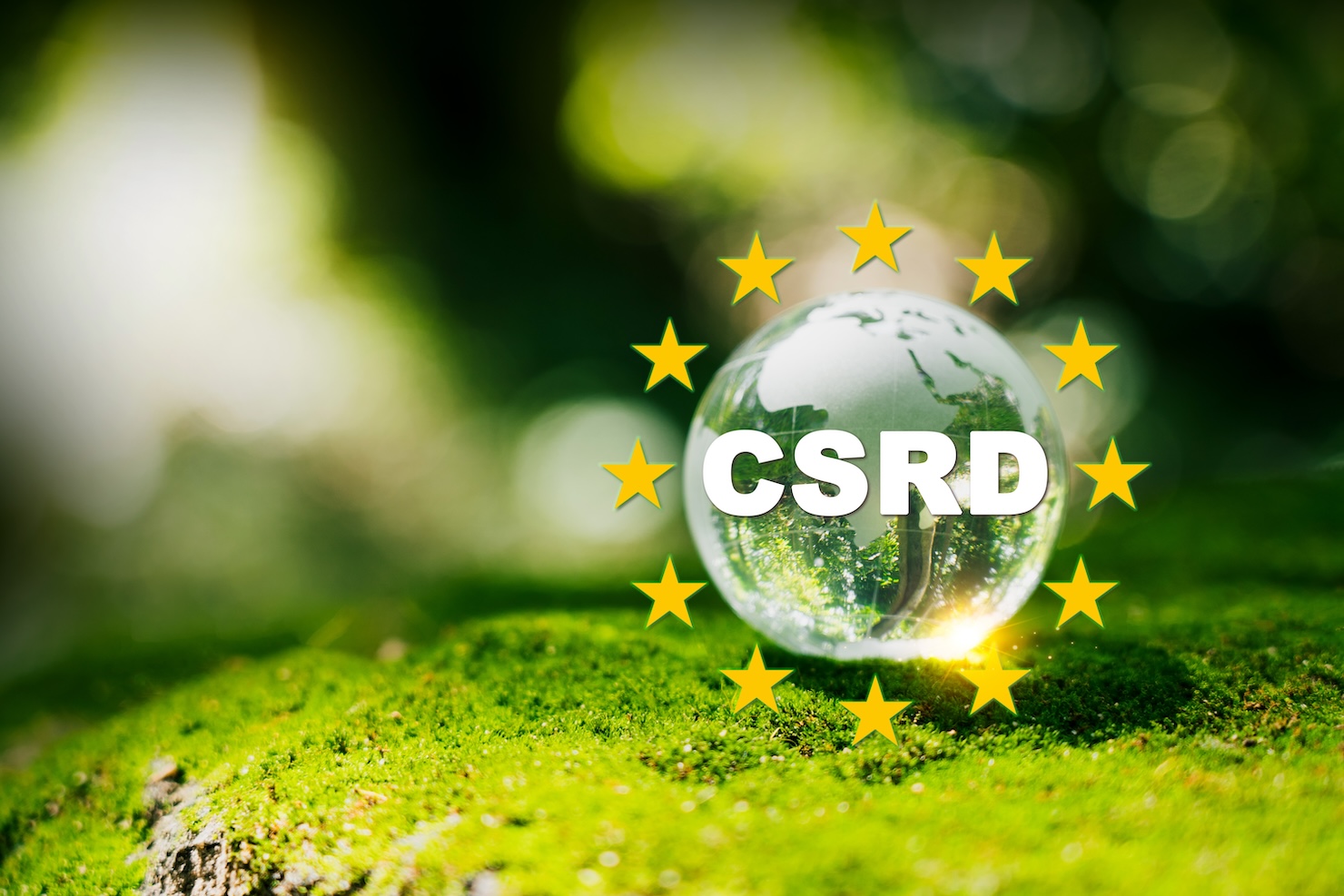 eu-gifts-companies-a-two-year-delay-on-sustainability-disclosures