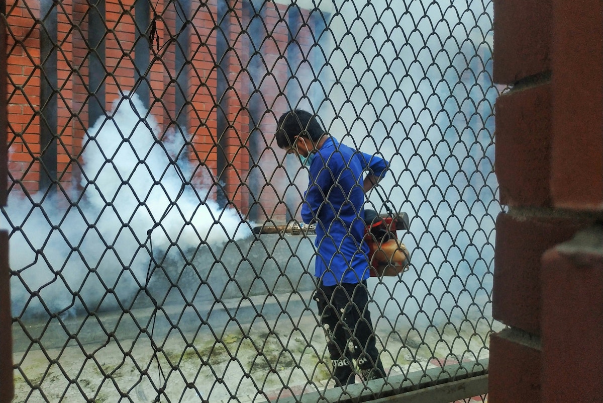 dealing-a-knockout-blow-to-dengue