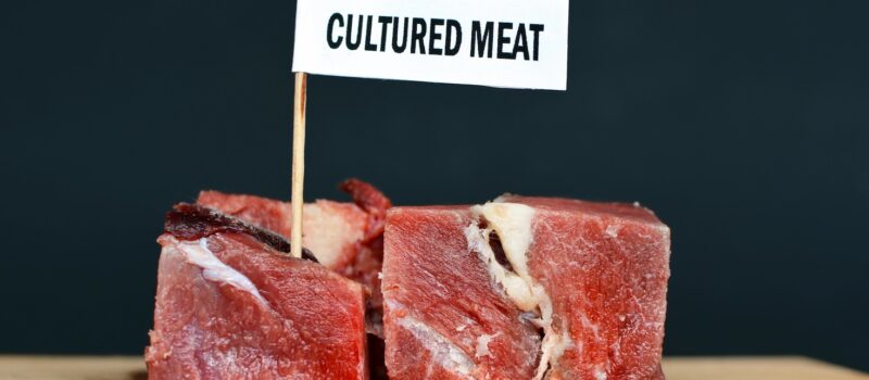 the-week-in-climate-policy:-4-updates-you-need-to-know