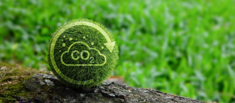 the-great-corporate-decarbonization-derby-is-on