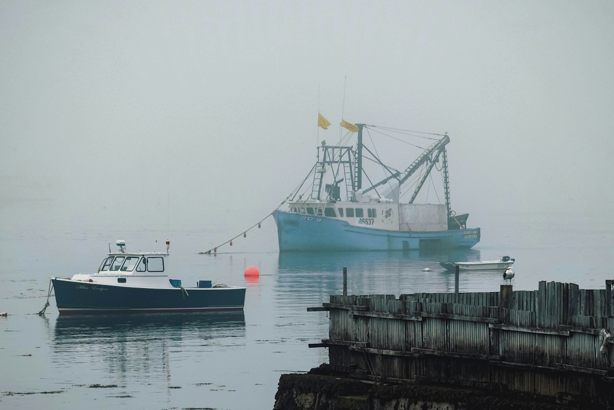 can-bottom-trawling-ever-be-sustainable?