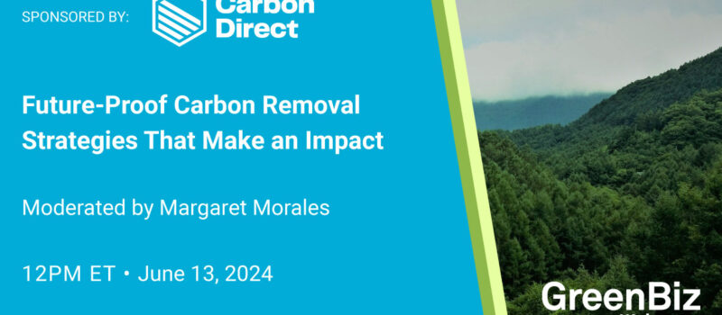 future-proof-carbon-removal-strategies-that-make-an-impact