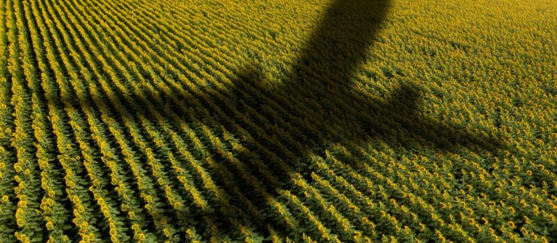 biden-looks-to-lower-the-carbon-footprint-of-business-travel