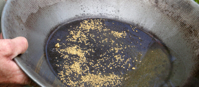 jobs-in-nature-and-biodiversity-are-increasing-—-here-are-14-of-the-most-interesting