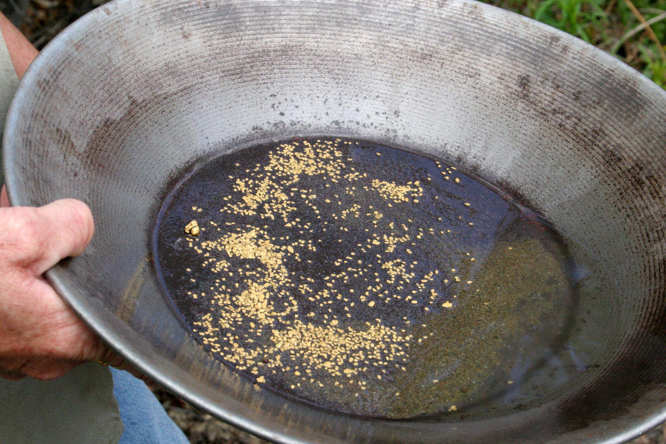 jobs-in-nature-and-biodiversity-are-increasing-—-here-are-14-of-the-most-interesting